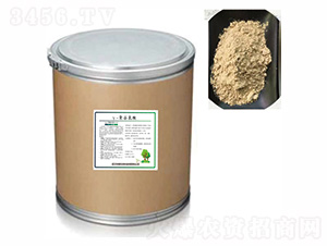 �۹Ȱ���ۄ���20���-�G������