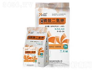 ���w��������-��������