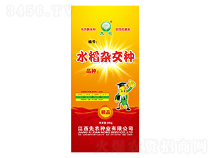 ����(y��u)286-ˮ���N��-���r(n��ng)�N�I(y��)