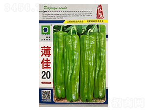 ����20-�����N��-�����N�I(y��)