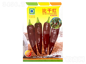 �ȸɼt-�����N��-�����N�I(y��)