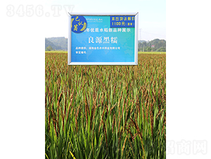 ��ԭ����Ŵ-ˮ���N��-��ɫ�r(n��ng)�S