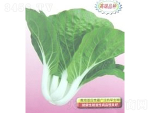 ��õ��ײ�-С�ײ˷N��-�V��