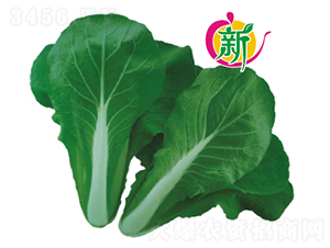 F1���~С�ײ�-С�ײ˷N��-�V��