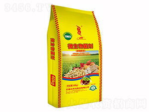 ��ֲ����΢�������-���v����