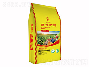 ������͏�(f��)�Ϸ���17-17-17-���v����