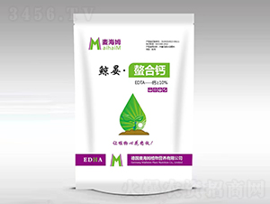 �L�̡������}-����ķ