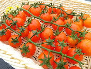 ����1809����-���ѷN��-�V��