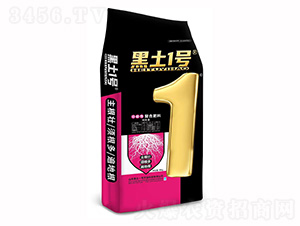 ����������ԏͺϷ���-����1̖