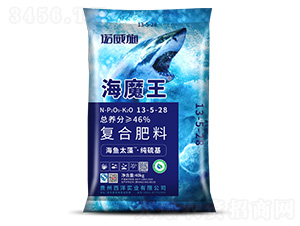 ������ͺϷ���13-5-28-��ħ��-�Z��ʩ����