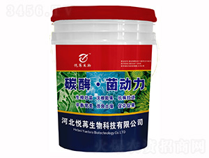 ̼ø����(d��ng)��-����