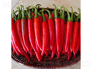 ���t-�����N��-�V��