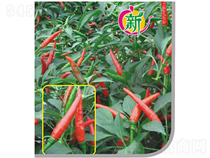 ����18̖(h��o)����-�����N��-�V��