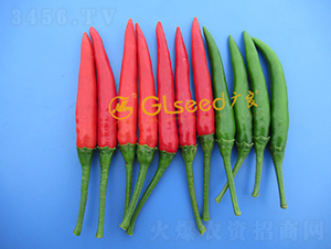 GL-56���콷-�����N��-�V��