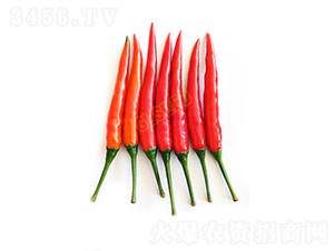 GL-58���콷-�����N��-�V��