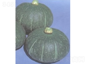 �٘s�Ϲ�-�ϹϷN��-�V��