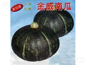 �����Ϲ�-�ϹϷN��-�V��