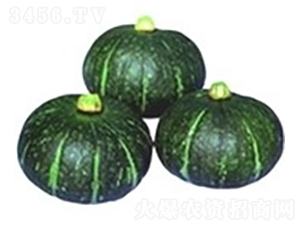 �����Ϲ�-�ϹϷN��-�V��