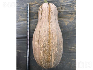 �۱�9̖�Ϲ�-�ϹϷN��-�V��