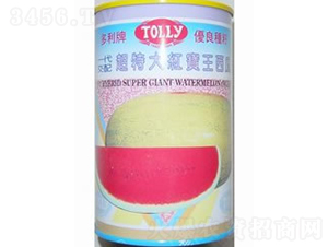 ���ش�t��������-���ϷN��-�V��