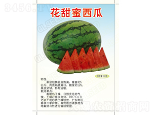 ����������-���ϷN��-�V��