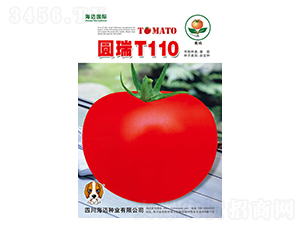 �A��T110-���ѷN��-���~��(gu��)�H