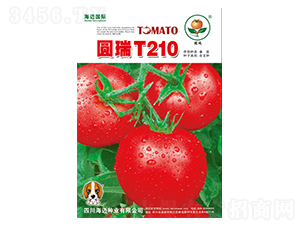 �A��T210-���ѷN��-���~��(gu��)�H