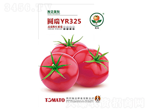 �A��325-���ѷN��-���~��(gu��)�H