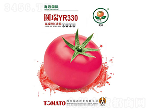 �A��330-���ѷN��-���~��(gu��)�H