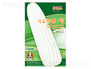 ����ѩŴ1̖(h��o)-���׷N��-�A�r��-���~���H