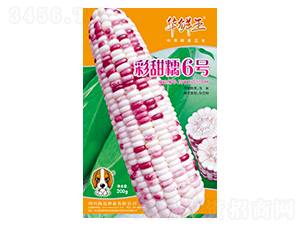 ����Ŵ6̖(h��o)-���׷N��-�A�r��-���~���H