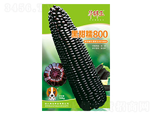 ����Ŵ800-���׷N��-�A�r��-���~���H