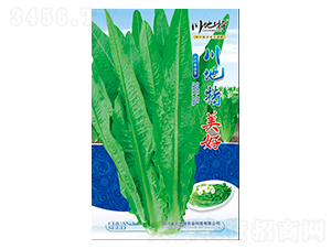 ����������-�����N��-������