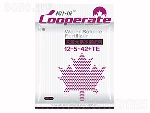 ����Ԫ��ˮ�ܷ���12-5-42+TE-�²��J-��ꖻ���