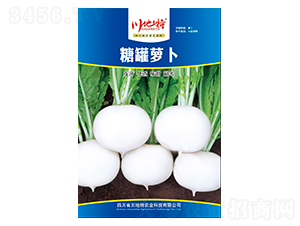 �ǹ��}��-�����}���N��-������