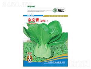 �s����2̖-С��˷N��-���~���H