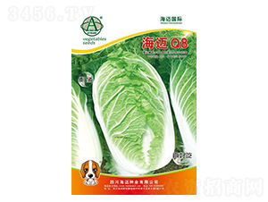 ���~Q8-��ײ˷N��-���~���H