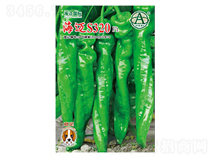 ���~S320-�����N��-���~���H