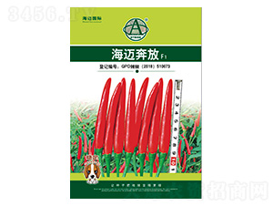 ���~����-�����N��-���~���H