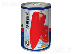 ���~���s-�����N��-���~���H