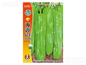 ���~623-�����N��-���~���H