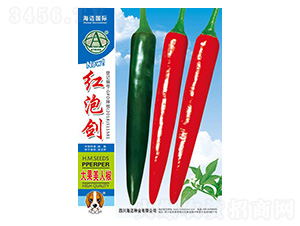 �t�݄�-�����N��-���~���H