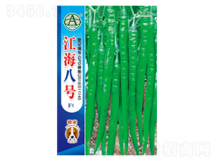 ����8̖-�����N��-���~���H