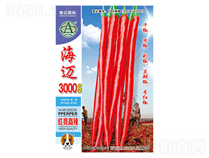 ���~3000S-�����N��-���~���H