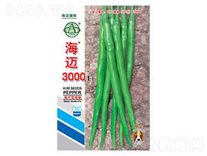 ���~3000-�����N��-���~���H