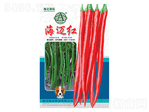 ���~�t-�����N��-���~���H