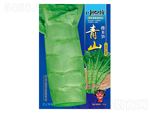 �SB�S��ɽ-��S�N��-������