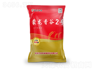 �������2̖-���ӷN��-�����N�I(y��)