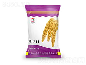 ���11-���ӷN��-�����N�I(y��)