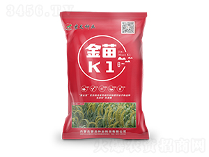 ����K1���t��-���ӷN��-�����N�I(y��)